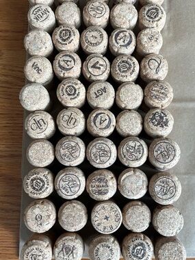 50 Assorted Champagne and Sparkling Wine Corks - Natural Recycled DIY Crafts